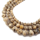 zebradorite feldspar smooth round beads