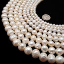 Fresh Water Pearl White Ringed Potato Round Beads 5mm 6mm 8mm 10mm 12mm 14" Strand