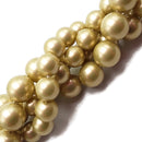 Gold Tan Shell Pearl Smooth Round Beads Size 8mm 10mm 15.5" Strand