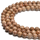 Natural Ocean Fossil Jasper Smooth Round Beads Size 6mm 8mm 10mm 15.5" Strand
