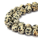 dalmatian jasper matte round beads