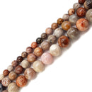 natural red fossil coral smooth round