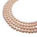 Peach Shell Pearl Smooth Round Beads 4mm 6mm 8mm 10mm 15.5" Strand