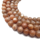 High Grade Peach Moonstone Smooth Round Beads 6mm 8mm 10mm 12mm 15.5" Strand