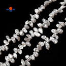 Ivory White Fresh Water Pearl Keshi Biwa Pebble Nugget Beads 12-15mm 14" Strand