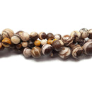 Natural African Zebra Jasper Smooth Round Beads 6mm 8mm 10mm 12mm 15.5" Strand