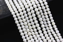 white bamboo coral smooth round beads