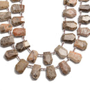 fossil coral faceted trapezoid shape beads