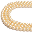 Beige Yellow Shell Pearl Matte Round Beads Size 6mm 8mm 10mm 15.5'' Strand