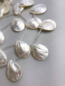 white mop shell smooth flat teardrop beads