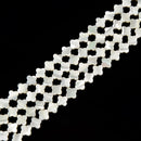 White Mother of Pearl MOP Shell Four Leaf Clover Beads 6mm to 16mm 15.5'' Strd