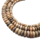 Natural Fossil Coral Smooth Rondelle Beads 4x6mm 5x8mm 6X10mm 15.5" Strand