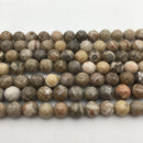 natural fossil coral faceted round beads