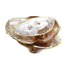 mop shell pearl coated tray dish 