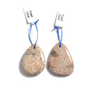 fossil coral pendant teardrop or irregular shape