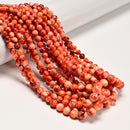 Natural Graduated Spiny Oyster Smooth Round Beads Size 5mm-8mm 16" Strand