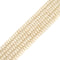 Ivory Color Bamboo Coral Smooth Rondelle Beads Size 3x5mm 4x6mm 15.5" Strand