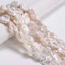 Natural White Fresh Water Pearl Flat Nugget Beads Size 15x20mm 16x22mm 15.5" Std