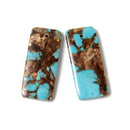 Bronzite Turquoise Pendant Earrings Size 18x42mm Sold Per Pair
