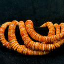 Natural Graduated Spiny Oyster Smooth Rondelle Disc Beads Size 8-18mm 16" Strand