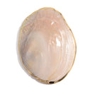 MOP Shell Pearl Coated Tray Dish Size Approx 4"x6" Sold by Per Piece