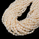 White Fresh Water Pearl Rice Shape Beads Size 4x7-8mm 5x7-8mm 14'' Strand