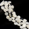 Iridescent White Mother of Pearl Shell Carved Daisy Flower Beads 15mm 15.5" Strd
