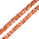 Natural Multi-color Spiny Oyster Chips Shape Beads Size 5-6mm 7-8mm 16" Strand