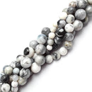 Dendritic White Agate Smooth Round Beads 4mm 6mm 8mm 10mm 12mm 15.5" Strand