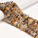 Graduated Natural Botswana Agate Irregular Slice Discs Beads 12-20mm 16" Strand