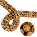 Picture Jasper Smooth Round Beads 4mm 6mm 8mm 10mm 12mm 14mm 18mm 15.5" Strand
