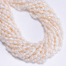 Natural White Fresh Water Pearl Side Drill Nugget Beads 5-6x7-8mm 15.5" Strand
