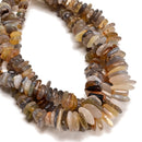 Graduated Natural Botswana Agate Irregular Slice Discs Beads 12-20mm 16" Strand