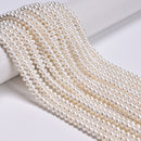 White Shell Pearl Smooth Rondelle Beads Size 3x5mm 15.5'' Strand