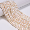 Natural White Fresh Water Pearl Ringed Rondelle Button Beads 3x4mm 14'' Strand