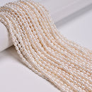 White Fresh Water Pearl Ringed Rice Shape Beads Size 3-4x5-6mm 14'' Strand