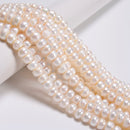 Natural White Fresh Water Pearl Rondelle Button Beads Size 7x10mm 15.5" Strand