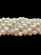 Fresh Water Pearl White Potato Round Beads 8-9mm 14''Strd