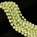 Lemon Color Dyed Jade Faceted Rice Beads Size 8x10mm 15.5'' Strand
