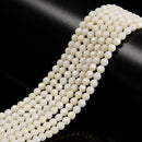White Bamboo Coral Faceted Round Beads 3mm 4mm 6mm 15.5" Strand
