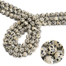 Dalmatian Jasper Smooth Round Beads 4mm 6mm 8mm 10mm 12mm Approx 15.5" Strand