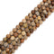 Natural Petrified Wood Faceted Round Beads 6mm 8mm 10mm 15.5" Strand