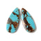 Bronzite Turquoise Pendant Earrings Size 15x35mm Sold Per Pair