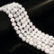 White Howlite Faceted Round Beads 2.5mm 6mm 8mm 10mm 15.5" Strand