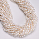 White Fresh Water Pearl Ringed Rice Shape Beads Size 3mm x 4-5mm 14'' Strand