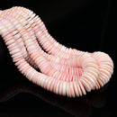 Pink Queen Conch Shell Graduated Rondelle Disc Beads 8mm to 20mm 15.5" Strand