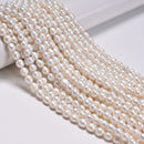 Grade AB White Fresh Water Akoya Pearl Off Round Beads Size 7-8mm 15.5'' Strand