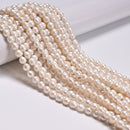 Grade B White Fresh Water Akoya Pearl Oval Beads Size 7-8mm 15.5'' Strand