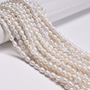 Natural White Fresh Water Pearl Rice Shape Beads Size 6-7mm x8-9mm 14.5'' Strand