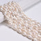 Natural White Fresh Water Pearl Baroque Shape Beads 12-14x14-18mm 15.5" Strand